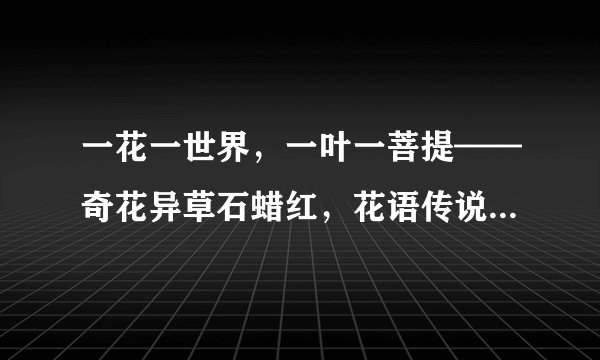 一花一世界，一叶一菩提——奇花异草石蜡红，花语传说赏花旅游