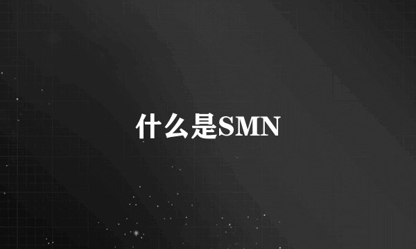 什么是SMN