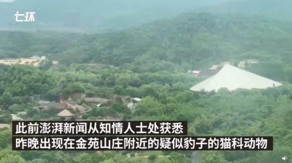 杭州3只金钱豹出逃已追回1只 大量特警加入搜寻