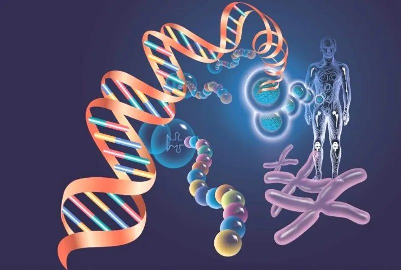 核苷酸与核酸及核苷的区别