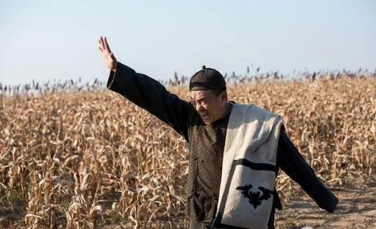 何冰主演的电视剧