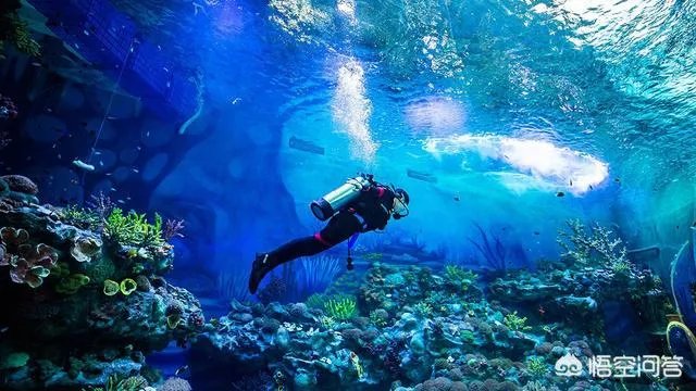 上海周边短途旅游，有哪些适合带小孩子玩的地方？