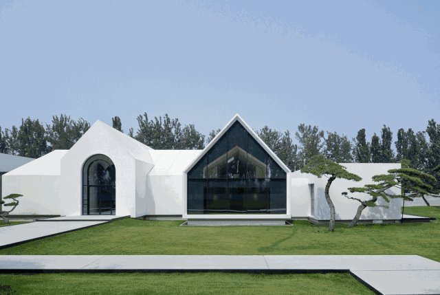 造型松，无奇不自由！气质庭院必备元素