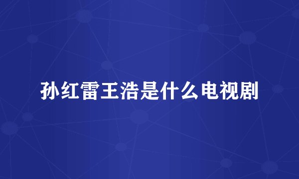 孙红雷王浩是什么电视剧