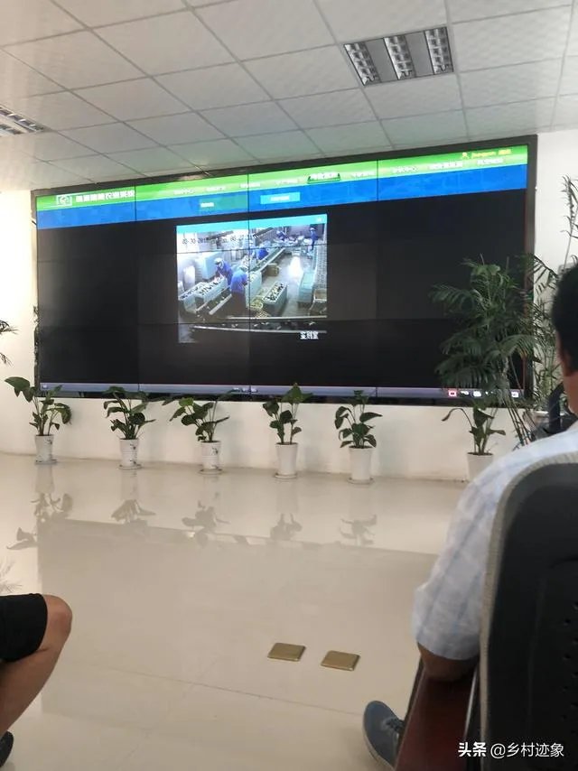 提高农业劳动生产率有哪些重要意义？