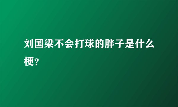 刘国梁不会打球的胖子是什么梗？