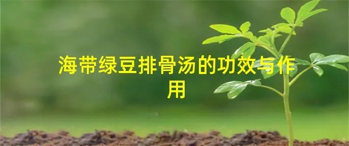 海带绿豆排骨汤的功效与作用