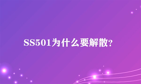 SS501为什么要解散？