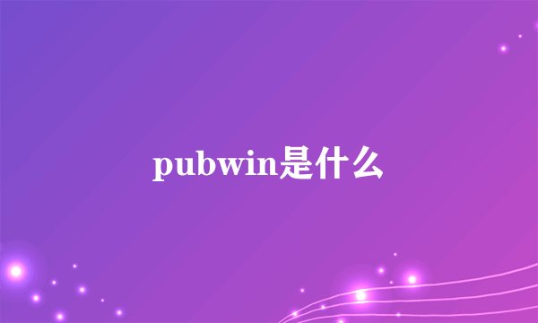 pubwin是什么