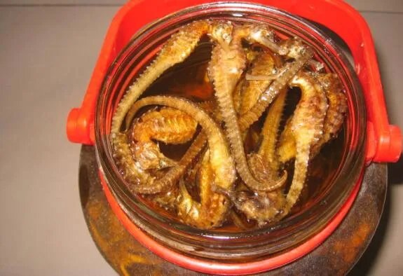 十大补肾壮阳酒排名 吓跑女人壮阳药酒都在这