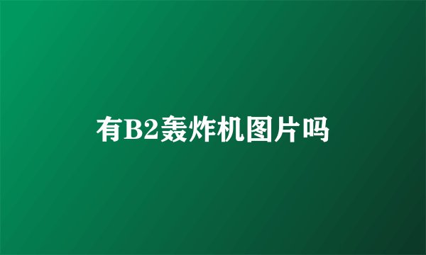 有B2轰炸机图片吗