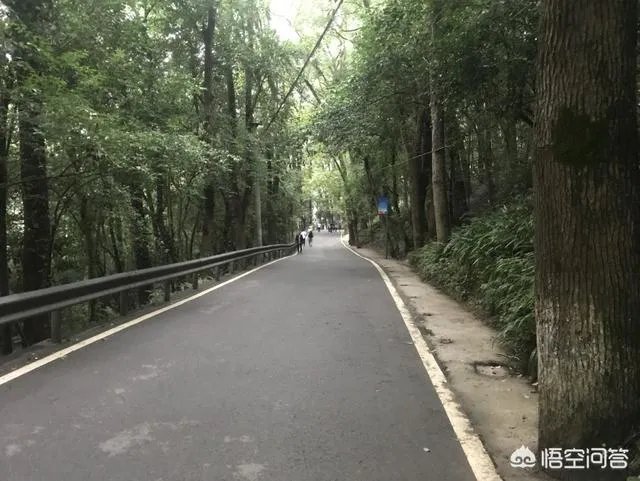 大家认为30岁的人找到真爱难不难?