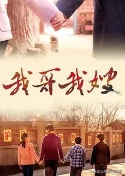 如何评价电视剧《我哥我嫂》？