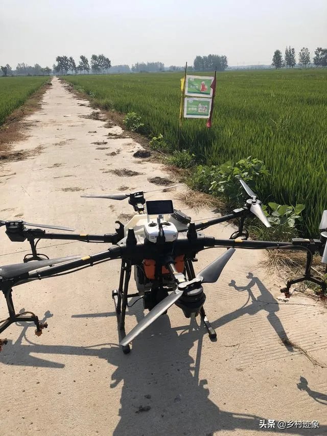 提高农业劳动生产率有哪些重要意义？