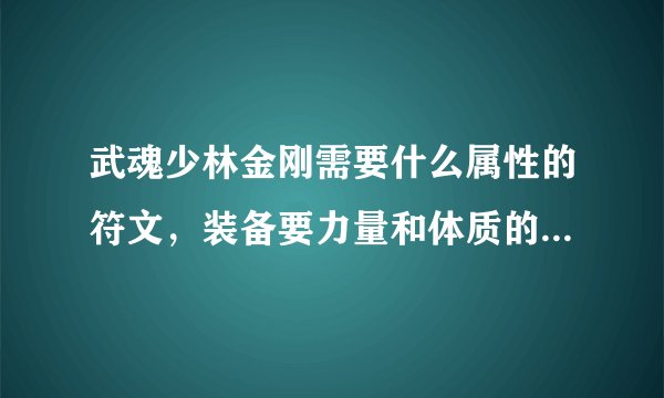 武魂少林金刚需要什么属性的符文，装备要力量和体质的，还是身法和体质的