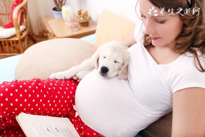 狗狗两个月打针