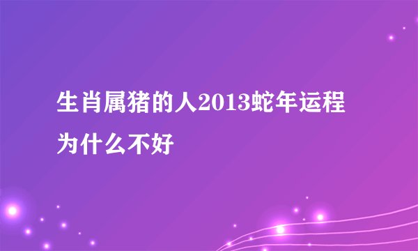 生肖属猪的人2013蛇年运程为什么不好