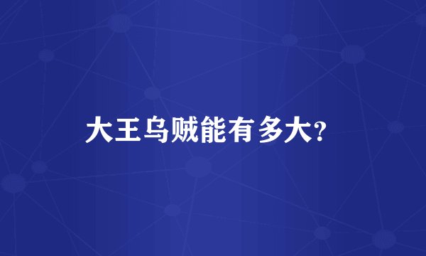 大王乌贼能有多大？