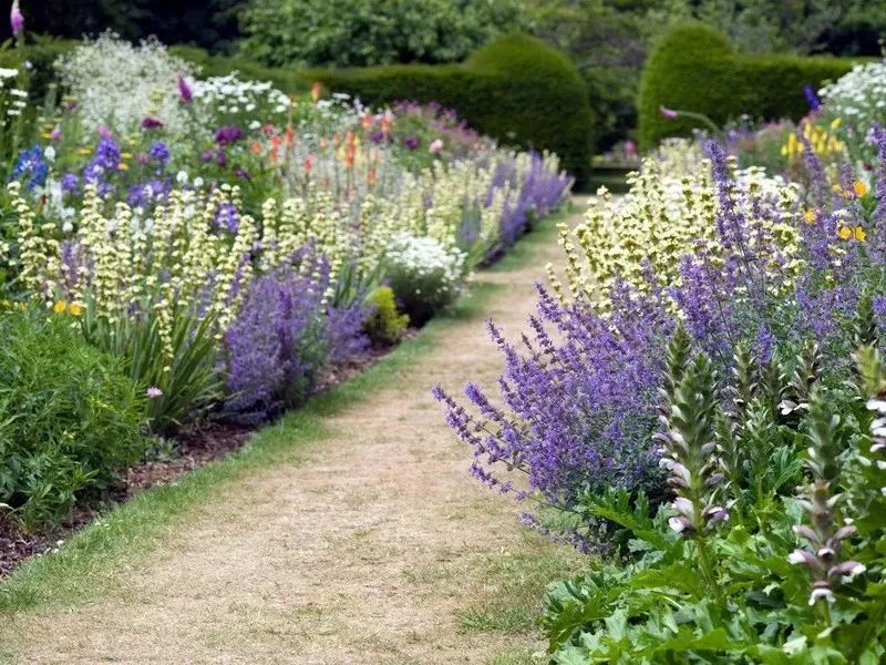 原创:花境按植物材料的分类及各自优缺点
