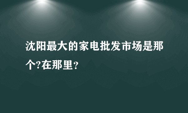 沈阳最大的家电批发市场是那个?在那里？