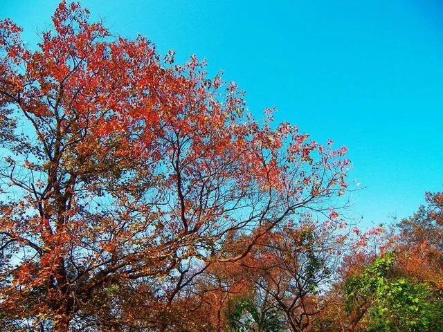 广东省从化市石门国家森林公园好玩吗？从广州市区怎么去？