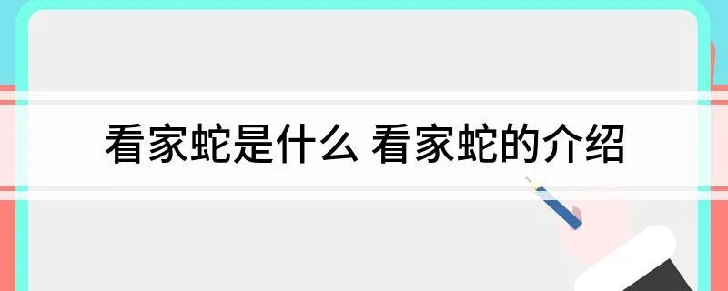 看家蛇是什么 看家蛇的介绍