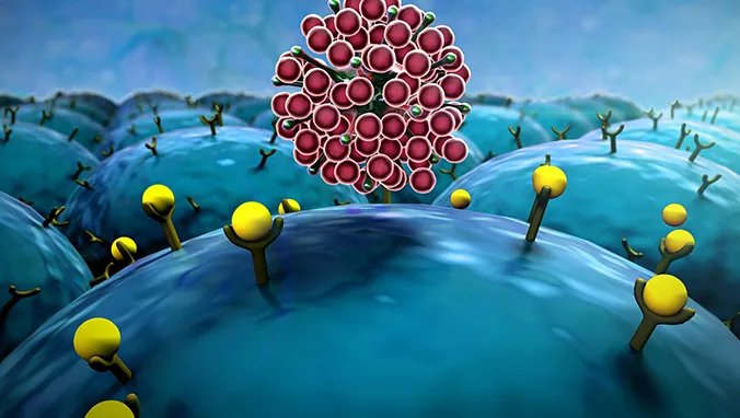 转移癌与原发癌的区别