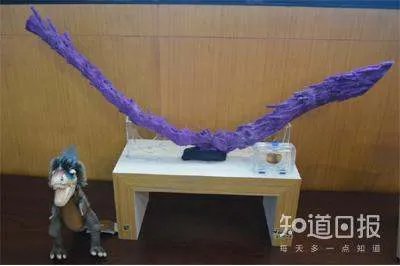 我们是怎样在琥珀里发现恐龙尾巴的？