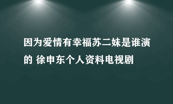 因为爱情有幸福苏二妹是谁演的 徐申东个人资料电视剧