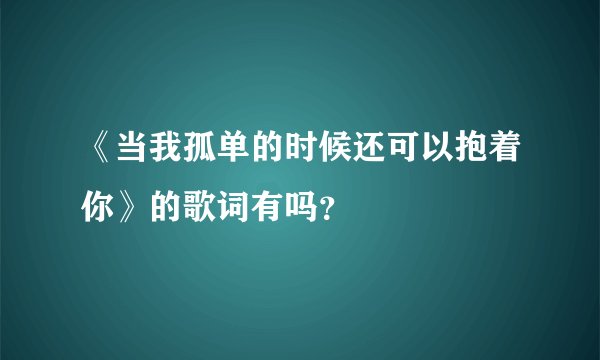 《当我孤单的时候还可以抱着你》的歌词有吗？