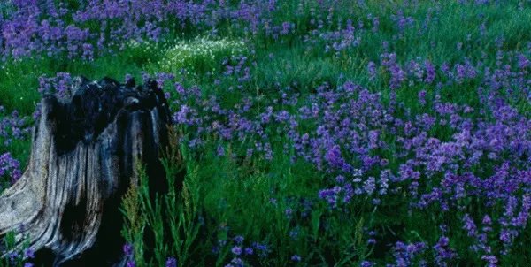 HG0088如何开户，进不进的去？