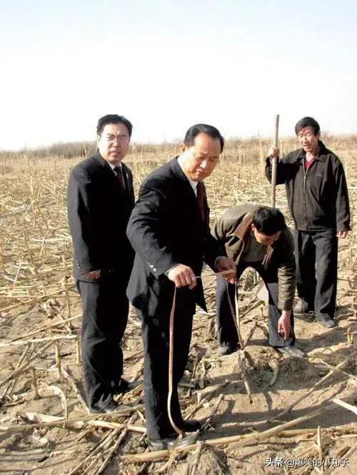 怎么用土法丈量不规则的田土面积？