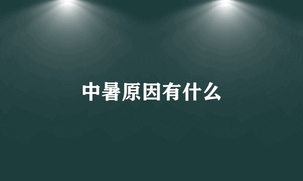 中暑原因有什么