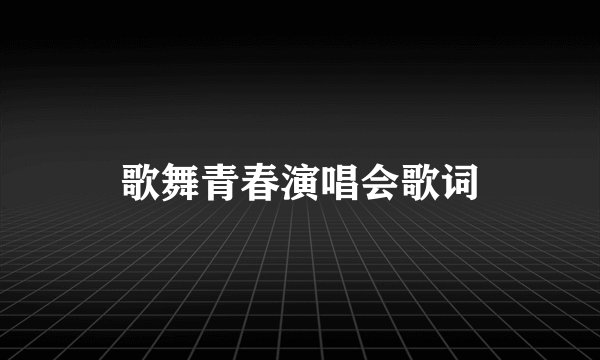 歌舞青春演唱会歌词