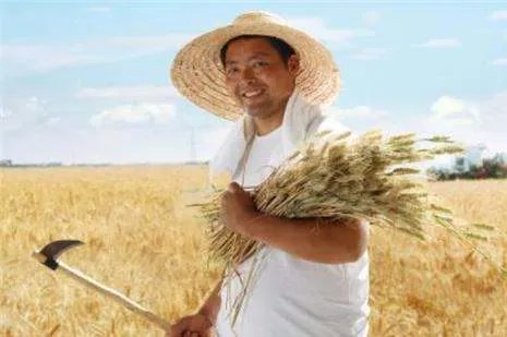 王福重事件处理结果