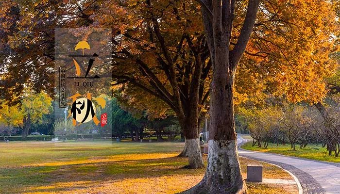 形容立秋的唯美句子