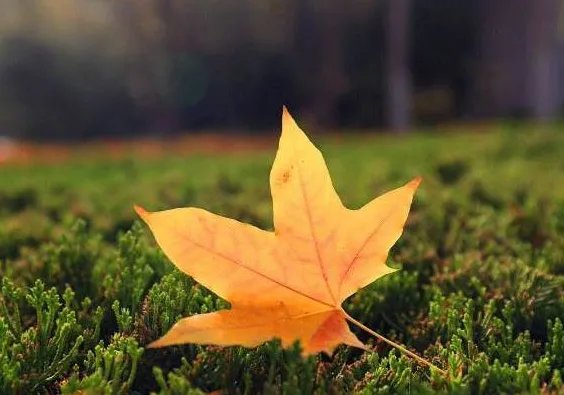 2019年什么时候立秋