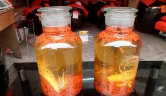 十大补肾壮阳酒排名 吓跑女人壮阳药酒都在这