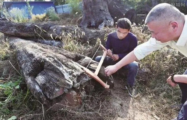 男子发现明代沉木 这根木头价值2000万元太惊人