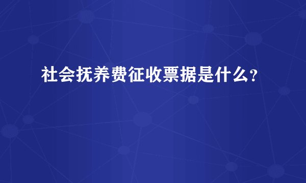 社会抚养费征收票据是什么？