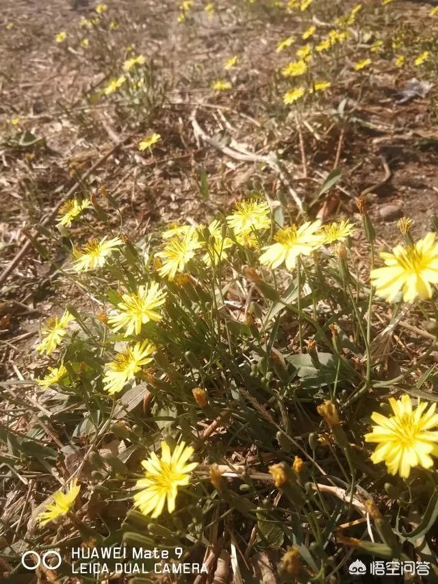 黄海波和吴秀波,谁复出的可能性更大?你可以原谅谁?