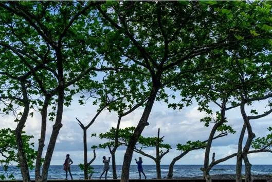 旅程相伴　索尼三剑客的一路风情