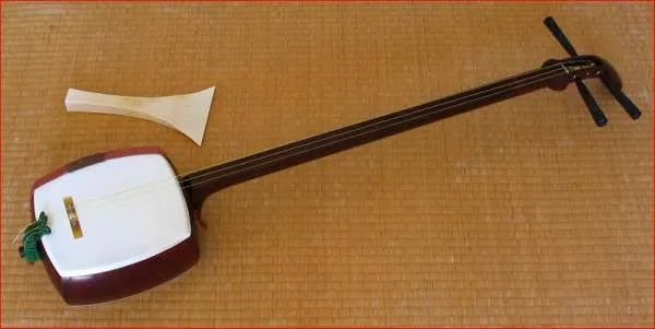 祝福你亲爱的 伴奏是用什么乐器弹的