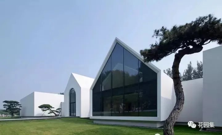 造型松，无奇不自由！气质庭院必备元素