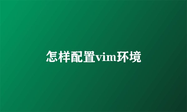 怎样配置vim环境