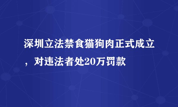 深圳立法禁食猫狗肉正式成立，对违法者处20万罚款