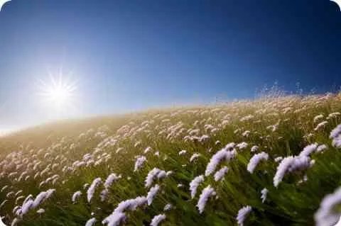 从走路姿势看性格命运_看相大全