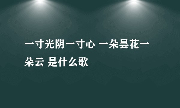 一寸光阴一寸心 一朵昙花一朵云 是什么歌