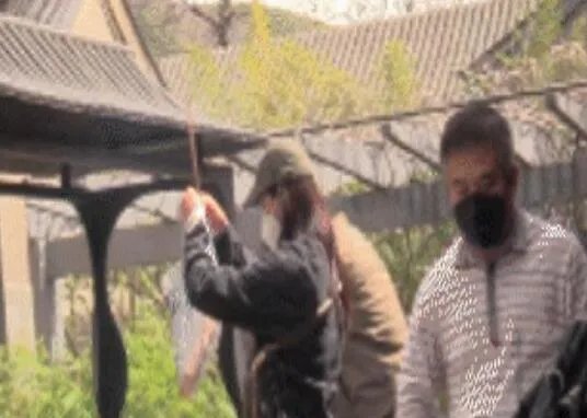 屈楚萧咖喱酱恋情曝光 心疼汪峰是什么情况