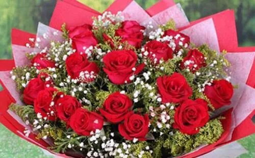 999朵玫瑰花代表什么 玫瑰花送几朵代表什么